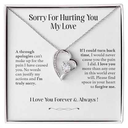 I'm Sorry Gift For Her, Apology Gift For Her, Wife Gift From Husband