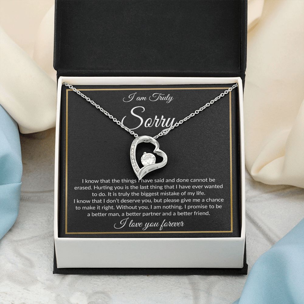 I'm Sorry Necklace Gifts, Apology Gifts For Her, Forgiveness Gift