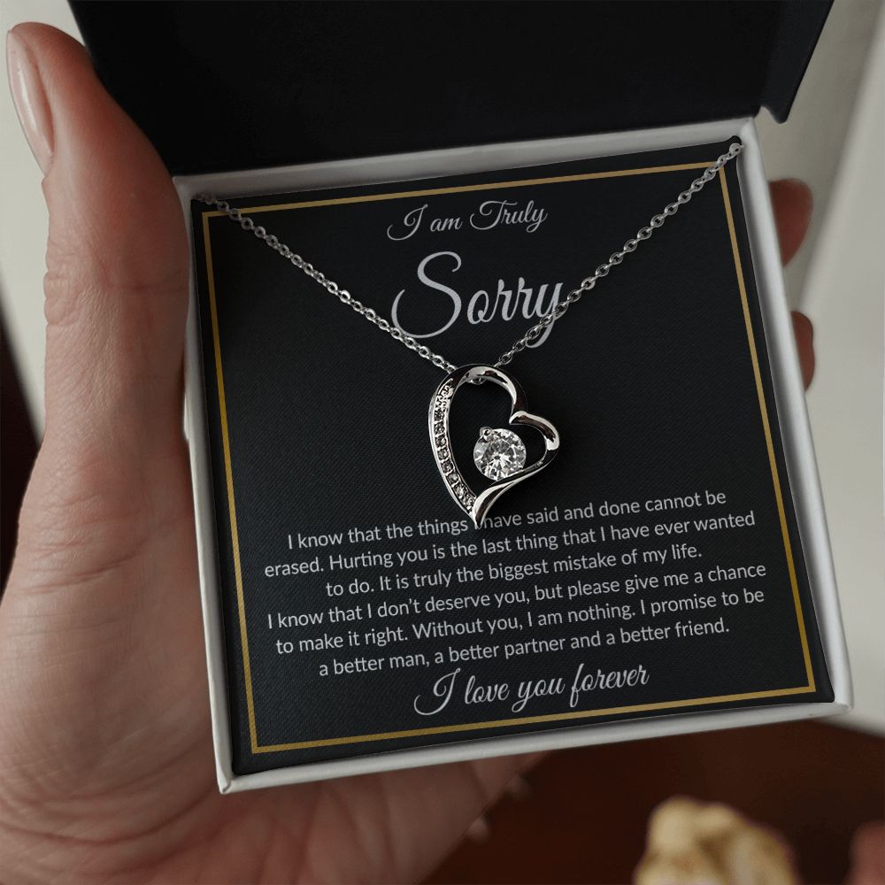 I'm Sorry Necklace Gifts, Apology Gifts For Her, Forgiveness Gift