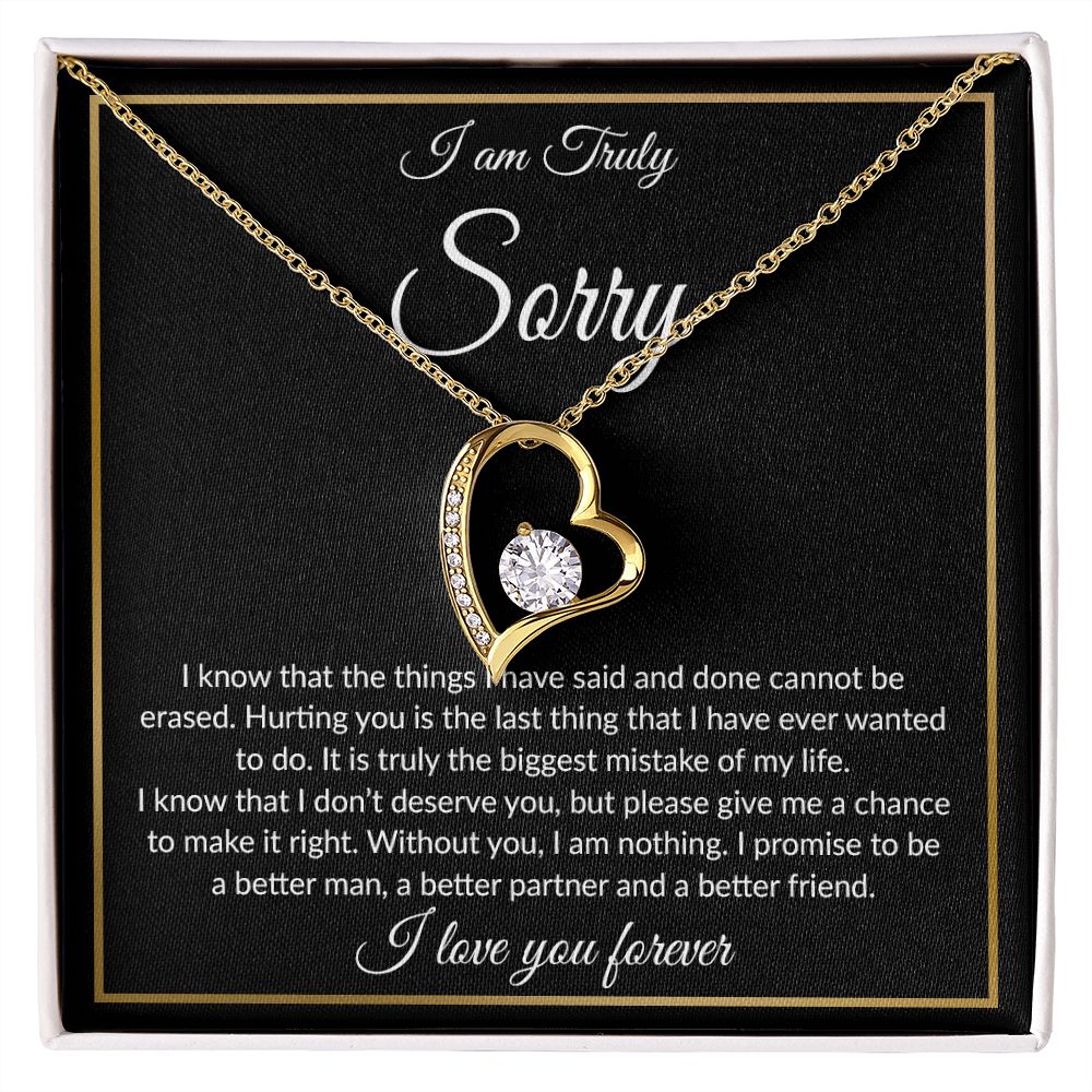 I'm Sorry Necklace Gifts, Apology Gifts For Her, Forgiveness Gift